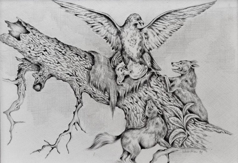 Beutestreit Wolf vs. Adler