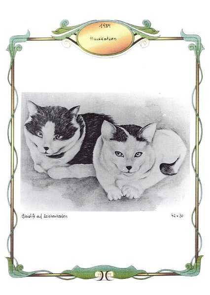 Hauskatzen