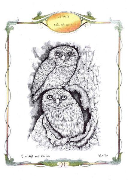 Waldkauz