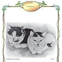 Hauskatzen