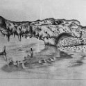 Nilkrokodil