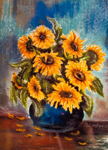 Sonnenblumen
