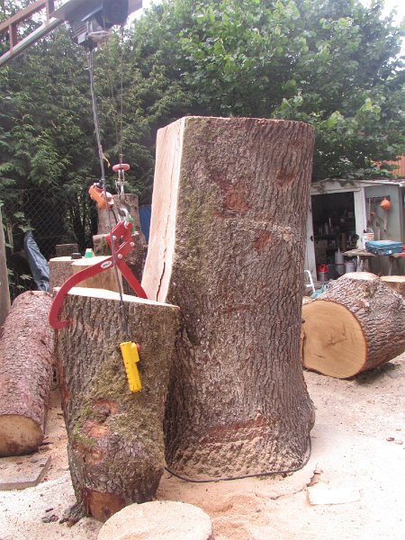 Eiche 200cm hoch, 100cm Durchmesser, 2,5 Tonnen 